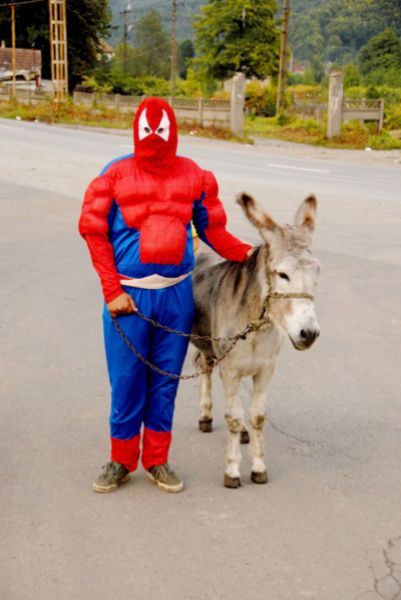 Can donkey recognise Superman